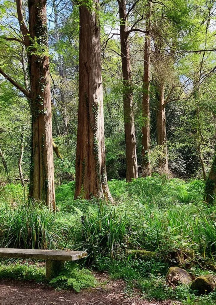 atelier d'écriture dans la nature